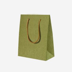 Gift carrier bag, light green, 225/110/295