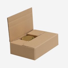 Packaging carton for 6 x Fac-106, Sec-106
