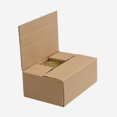 Packaging cardboard box for 6x Zyl-405, Fac-410