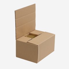 Packaging cardboard box for 6x Stur-435
