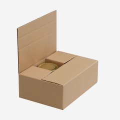 Packaging cardboard box for 6x Stur-255
