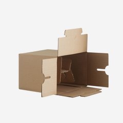 Packaging cardboard box for 6 bottles Viv-100GPI