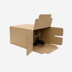 Packaging cardboard box for 6 bottles Frm-506