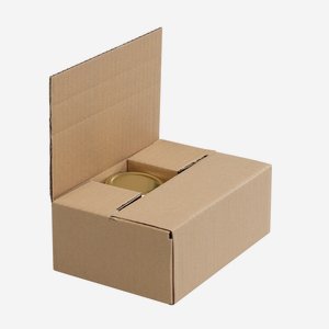 Packaging carton for  6x STUR-229