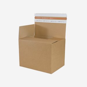 Shipping box, brown, A4 size, 303/215/220