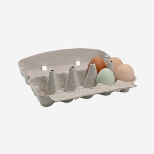 Egg carton for 10 eggs, neutral gray