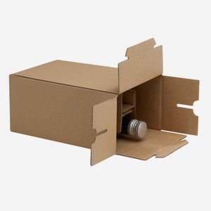 Packaging carton for 6 bottles Dor-250