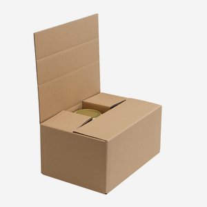 Packaging cardboardbox for 6x Vit-540, Fac-575