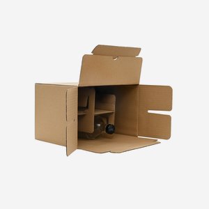 Packaging cardboard box for 6 bottles Des-500GPI