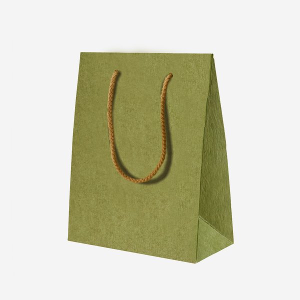 Gift carrier bag,  29,5x22,5x11cm