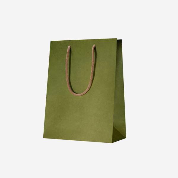 Gift carrier bag, light green, 225/110/295