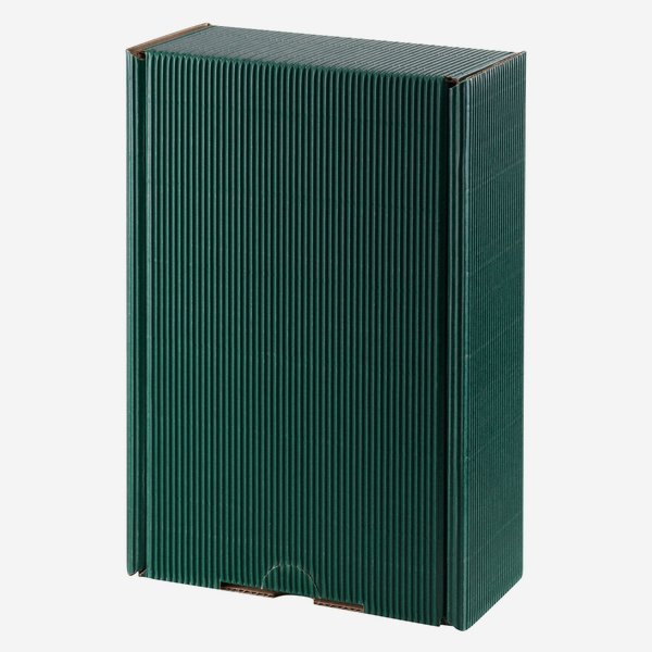 Gift box with open flute, green, 255/150/80