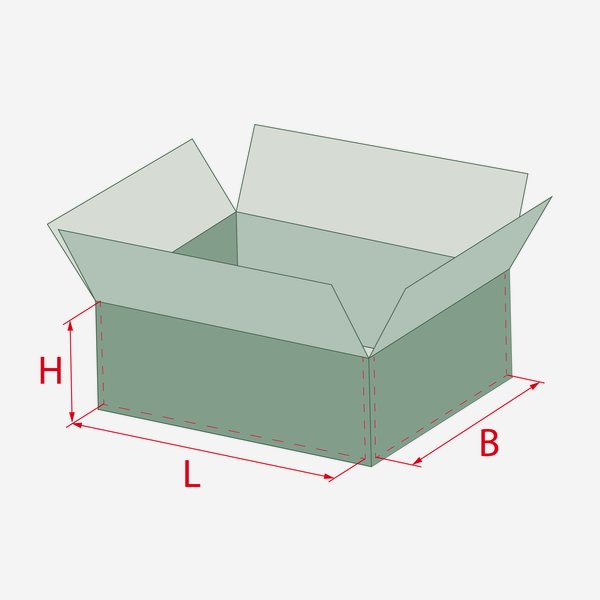 Packaging cardboard box for 12x 1,0l juice bottle