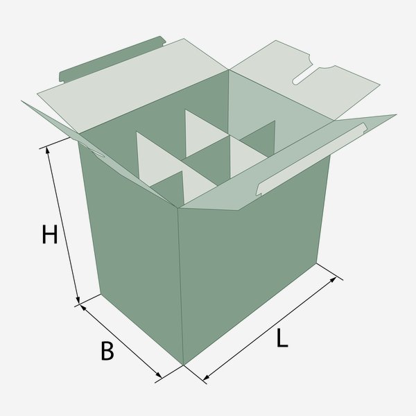 Packaging cardboard box for 6 bottles Viv-100GPI