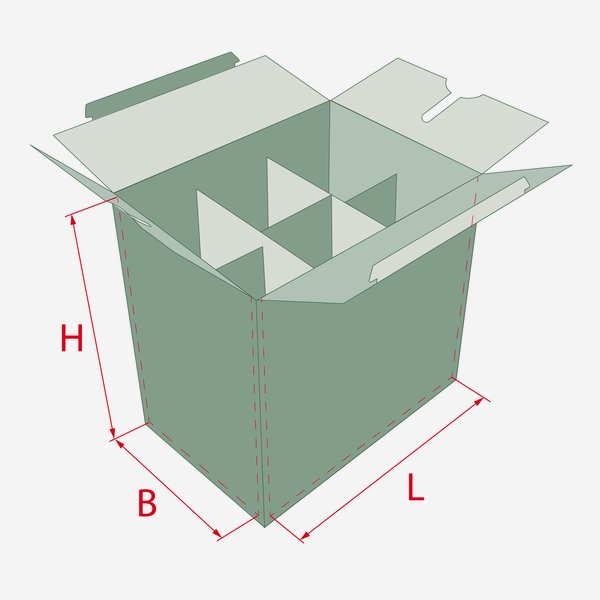 Packaging cardboard box for 6x 1,0l bottle