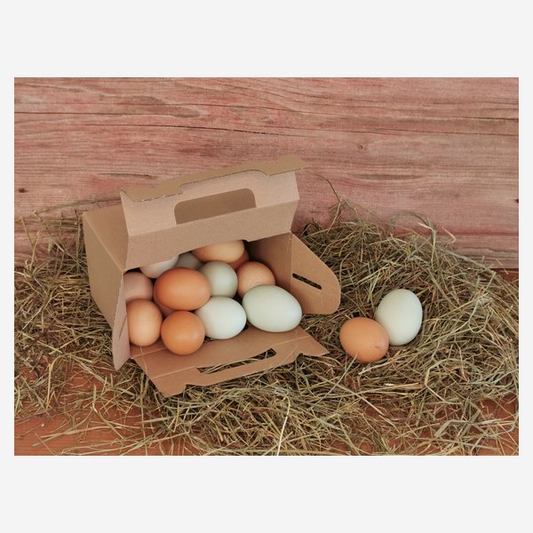 Cardboard Carrier for eggs, L174 x B100 x H115mm