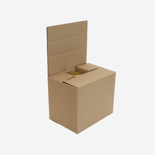 Packaging cardboard box for 6x Dre-263