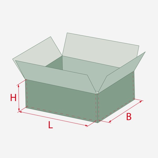 Packaging cardboard box for 24x Lon-330