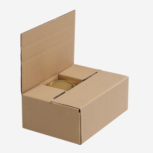 Packaging cardboard box 6x Zyl-167, Zyl-125