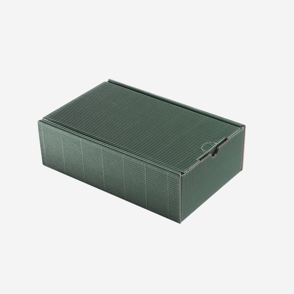 Gift box with open flute, green, 255/150/80