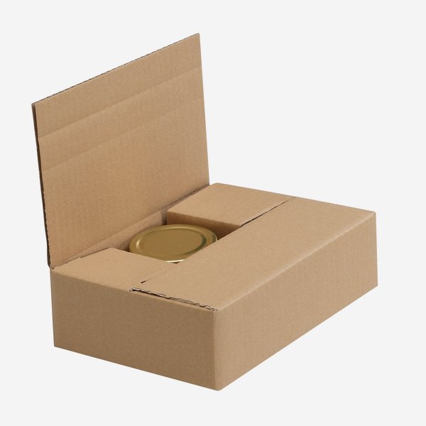 Packaging cardboard box for 6x Fac-106, Sec-106