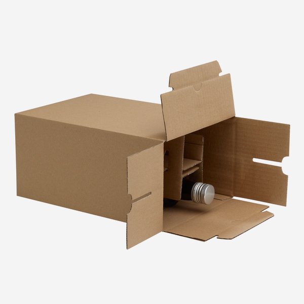 Packaging cardboard box for 6 bottles Dor-500
