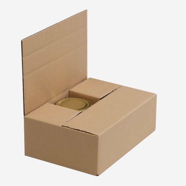 Packaging cardboard box for 6x Fac-212