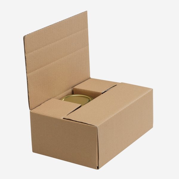 Packaging cardboard box for 6x Zyl-405, Fac-410