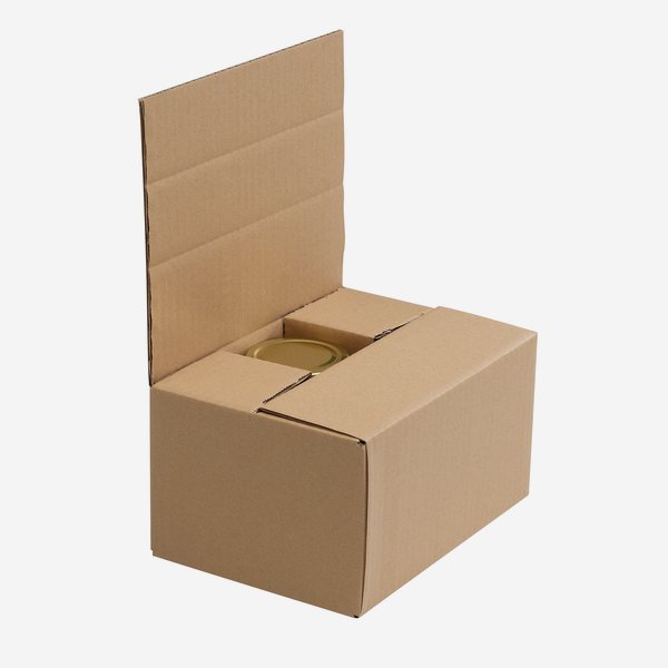 Packaging cardboard box for 6x Zyl-390, Fac-370