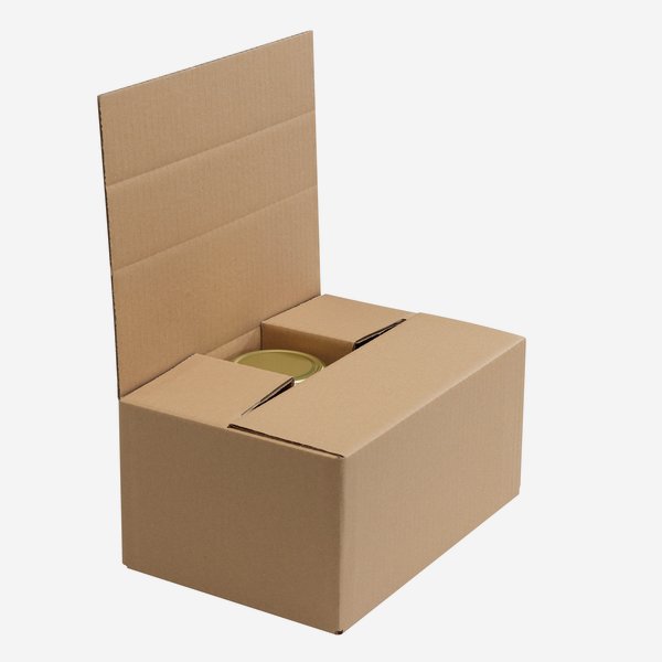 Packaging cardboard box for 6x Fac-720