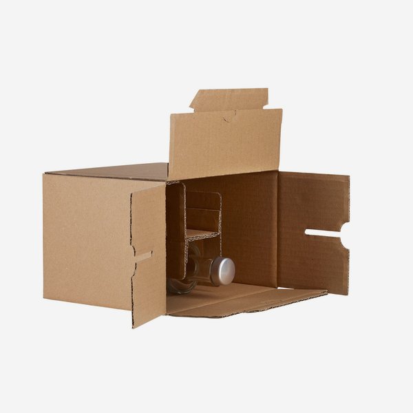 Packaging cardboard box for 6 bottles Viv-200GPI