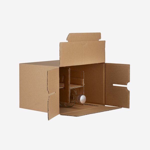 Packaging cardboard box for 6 bottles Viv-350GPI