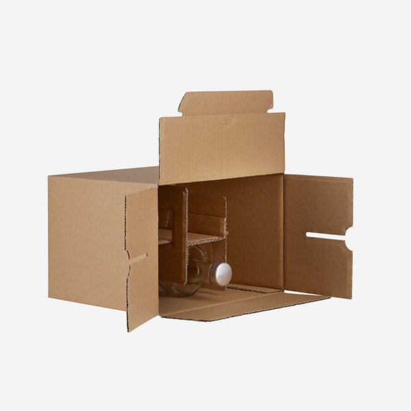 Packaging cardboard box for 6 bottles Viv-500GPI