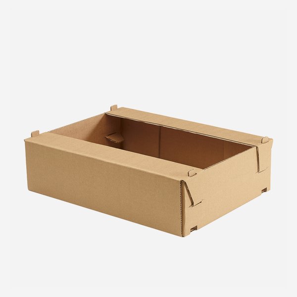 Cardboard tray 2kg, L380 x B281 x H100mm